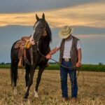 horse-7370891_640