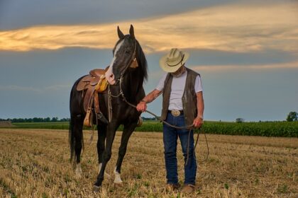 horse-7370891_640